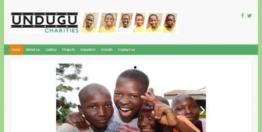 preview of undugu website